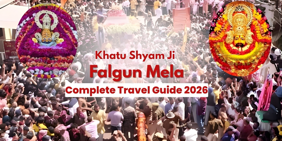 new year tour package